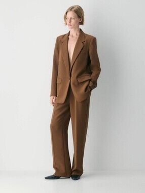 Price Firm 🍓 Babaton Aritzia Blazer